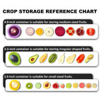 [Freshness Assistant]🔥Fruit And Vegetable Anti-Oxidation Storage Box